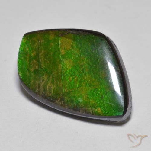 amolita Multicolor natural de 11.78 ct, Elegante, Opaco