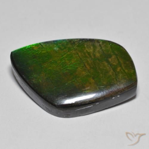 amolita Multicolor natural de 11.78 ct, Elegante, Opaco