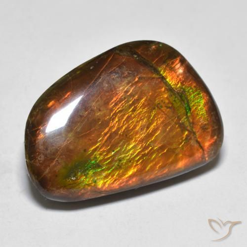 16.39ct Natural Multicolor amolita, Elegante, Opaco