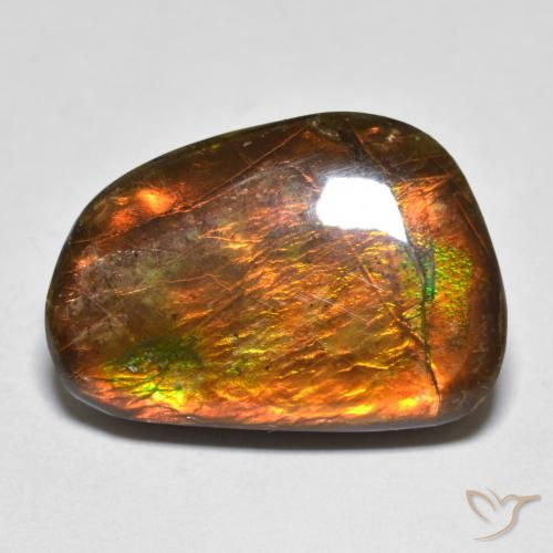 amolita Multicolor natural de 16.39 ct, Elegante, Opaco