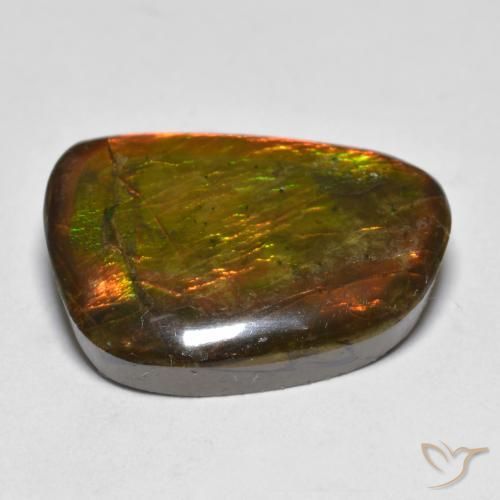 amolita Multicolor natural de 16.39 ct, Elegante, Opaco
