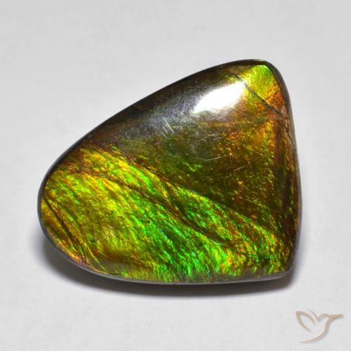 10.20ct Natural Multicolor amolita, Elegante, Opaco