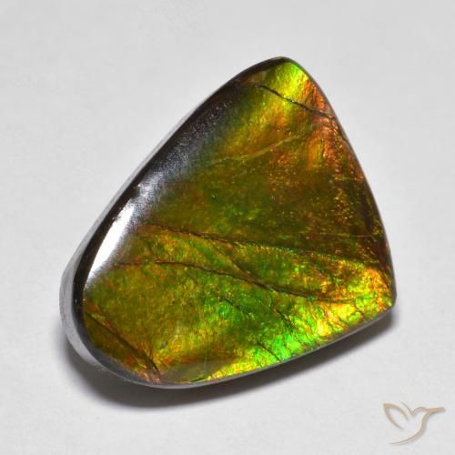 amolita Multicolor natural de 10.20 ct, Elegante, Opaco