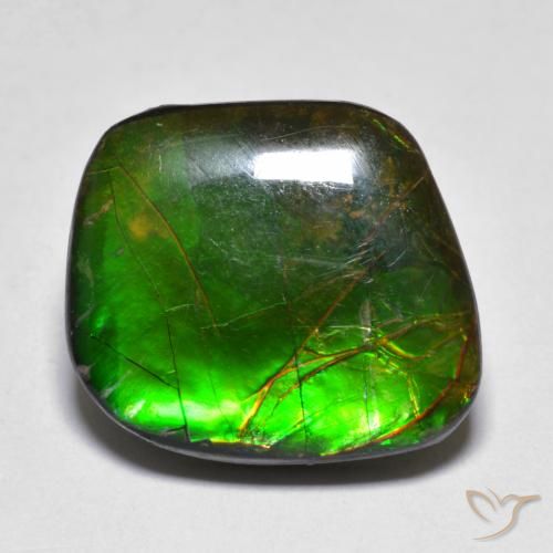 11.10ct Natural Multicolor amolita, Elegante, Opaco