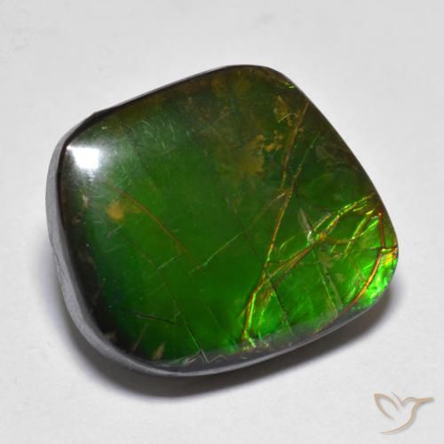 amolita Multicolor natural de 11.10 ct, Elegante, Opaco