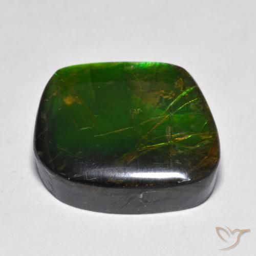 amolita Multicolor natural de 11.10 ct, Elegante, Opaco