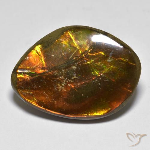 20.29ct Natural Multicolor amolita, Elegante, Opaco