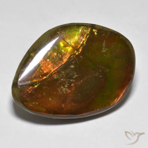 amolita Multicolor natural de 20.29 ct, Elegante, Opaco