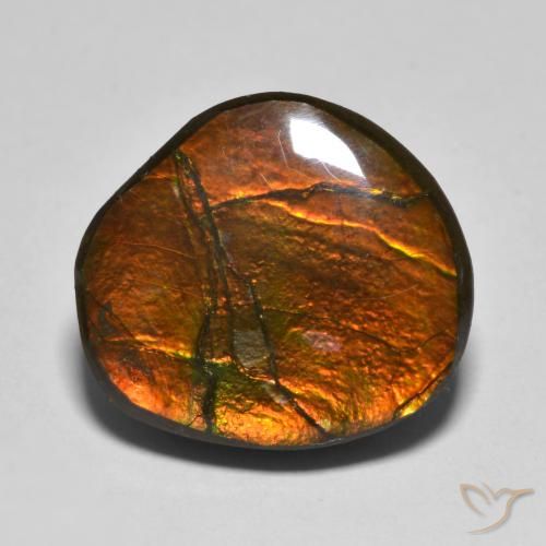 11.11ct Natural Multicolor amolita, Elegante, Opaco