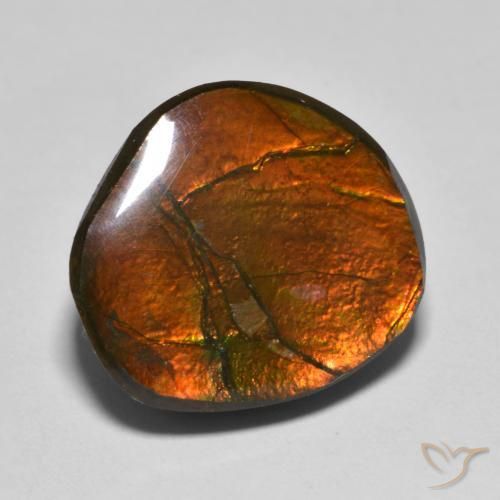 amolita Multicolor natural de 11.11 ct, Elegante, Opaco