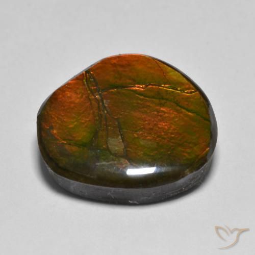 amolita Multicolor natural de 11.11 ct, Elegante, Opaco