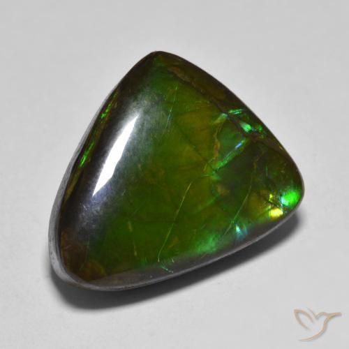 amolita Multicolor natural de 12.07 ct, Elegante, Opaco