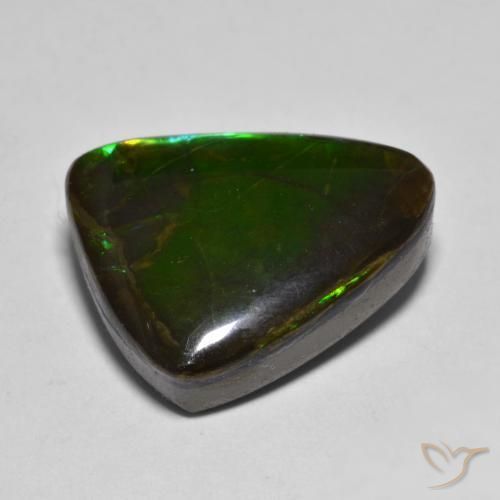 amolita Multicolor natural de 12.07 ct, Elegante, Opaco