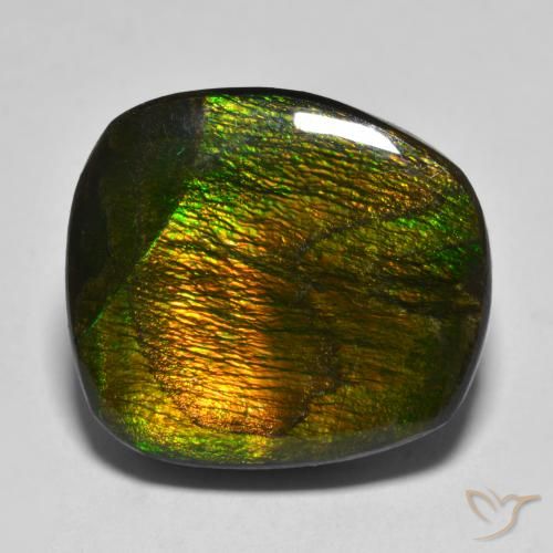 15.88ct Natural Multicolor amolita, Elegante, Opaco