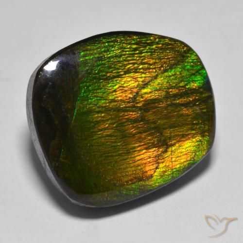 amolita Multicolor natural de 15.88 ct, Elegante, Opaco