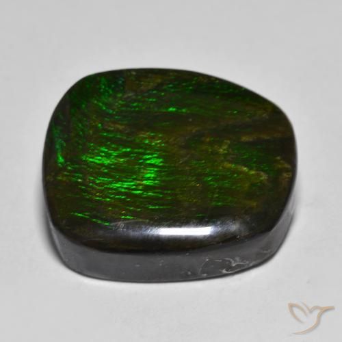 amolita Multicolor natural de 15.88 ct, Elegante, Opaco