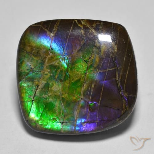 19.25ct Natural Multicolor amolita, Elegante, Opaco