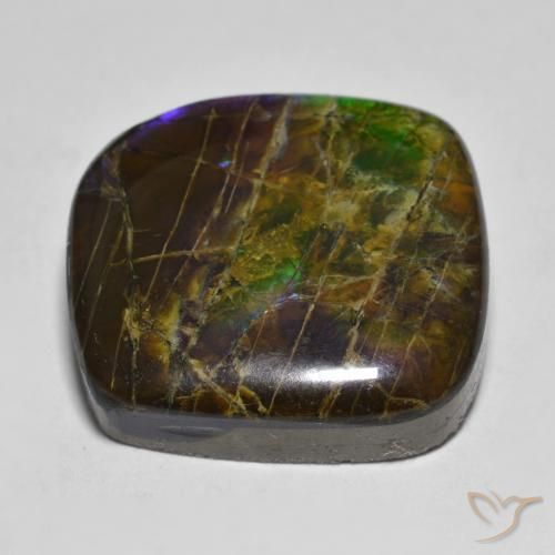 amolita Multicolor natural de 19.25 ct, Elegante, Opaco