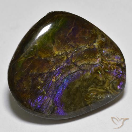 amolita Multicolor natural de 20.55 ct, Elegante, Opaco