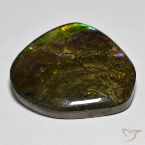 amolita Multicolor natural de 20.55 ct, Elegante, Opaco