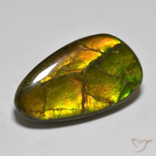 12.63ct Natural Multicolor amolita, Elegante, Opaco