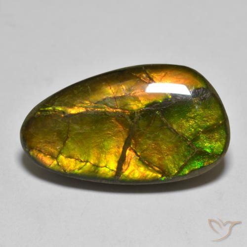 amolita Multicolor natural de 12.63 ct, Elegante, Opaco