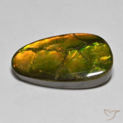 amolita Multicolor natural de 12.63 ct, Elegante, Opaco