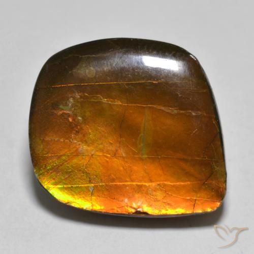 16.24ct Natural Multicolor amolita, Elegante, Opaco