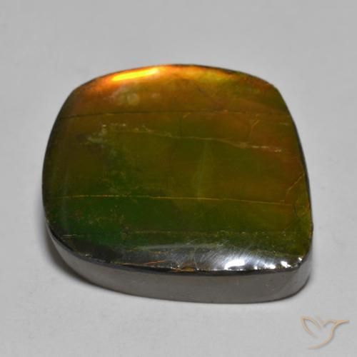 amolita Multicolor natural de 16.24 ct, Elegante, Opaco