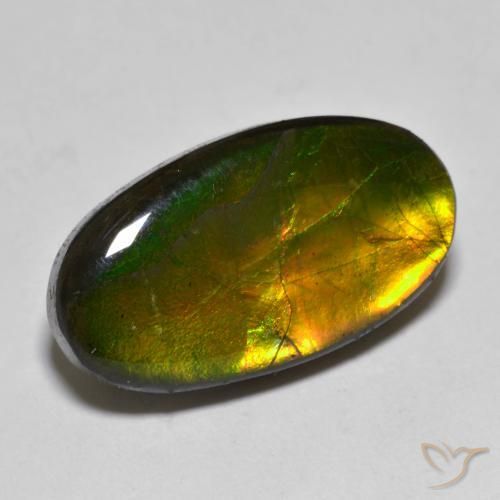 10.40ct Natural Multicolor amolita, Ovalada, Opaco