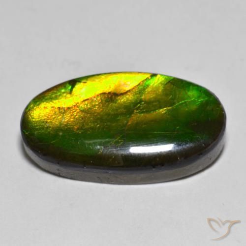 amolita Multicolor natural de 10.40 ct, Ovalada, Opaco