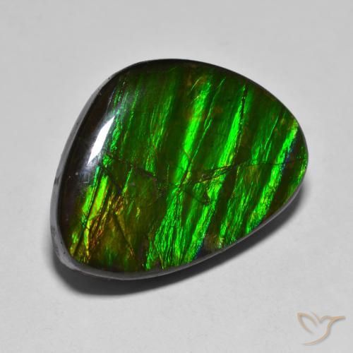 14.85ct Natural Multicolor amolita, Elegante, Opaco