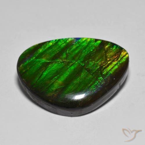 amolita Multicolor natural de 14.85 ct, Elegante, Opaco