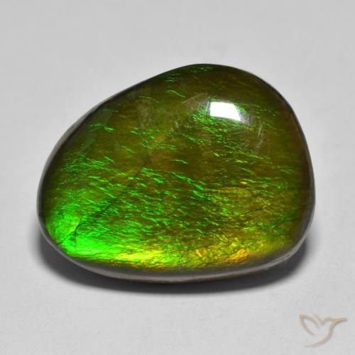11.23ct Natural Multicolor amolita, Elegante, Opaco