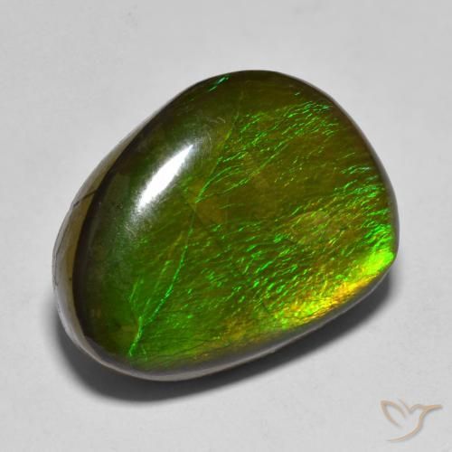 amolita Multicolor natural de 11.23 ct, Elegante, Opaco