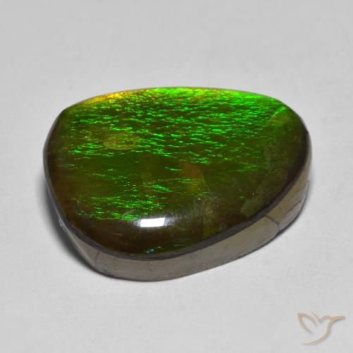 amolita Multicolor natural de 11.23 ct, Elegante, Opaco