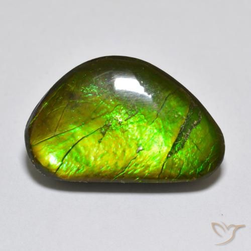 10.81ct Natural Multicolor amolita, Elegante, Opaco