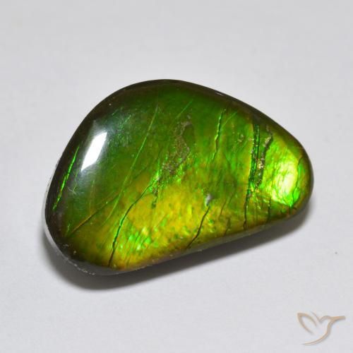 amolita Multicolor natural de 10.81 ct, Elegante, Opaco