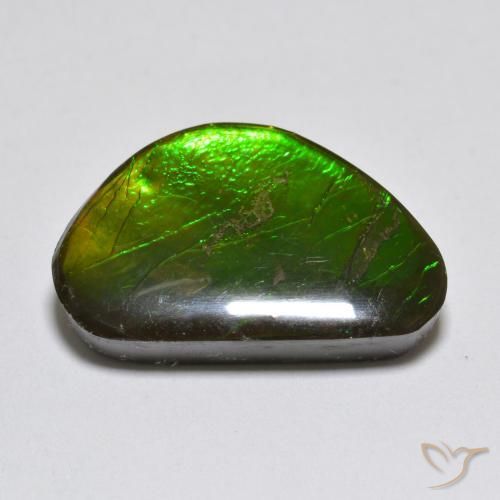 amolita Multicolor natural de 10.81 ct, Elegante, Opaco