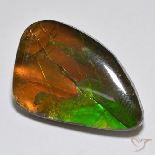 amolita Multicolor natural de 12.25 ct, Elegante, Opaco