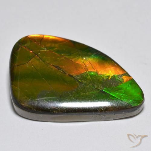 amolita Multicolor natural de 12.25 ct, Elegante, Opaco