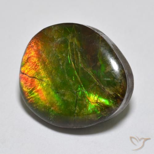 amolita Multicolor natural de 13.34 ct, Elegante, Opaco