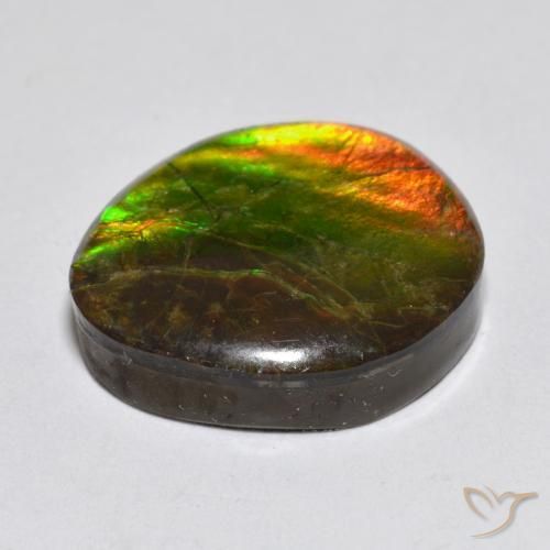 amolita Multicolor natural de 13.34 ct, Elegante, Opaco