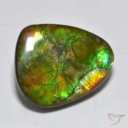 14.92ct Natural Multicolor amolita, Elegante, Opaco