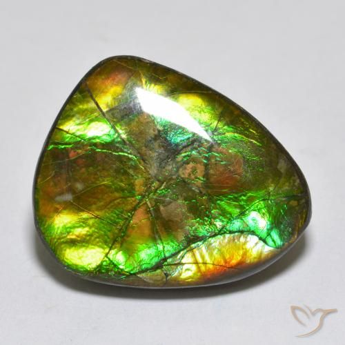 amolita Multicolor natural de 14.92 ct, Elegante, Opaco