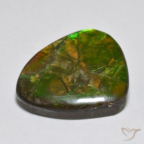 amolita Multicolor natural de 14.92 ct, Elegante, Opaco