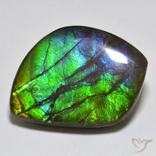17.95ct Natural Multicolor amolita, Elegante, Opaco