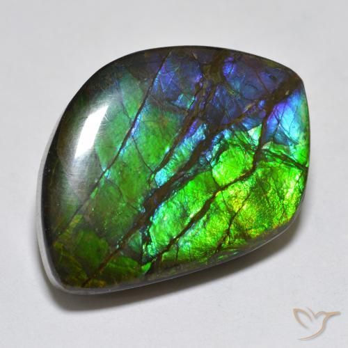 amolita Multicolor natural de 17.95 ct, Elegante, Opaco