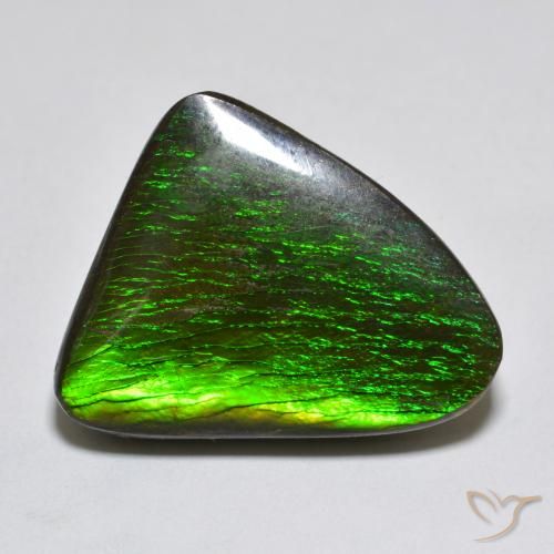 13.96ct Natural Multicolor amolita, Elegante, Opaco