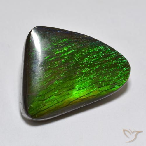 amolita Multicolor natural de 13.96 ct, Elegante, Opaco